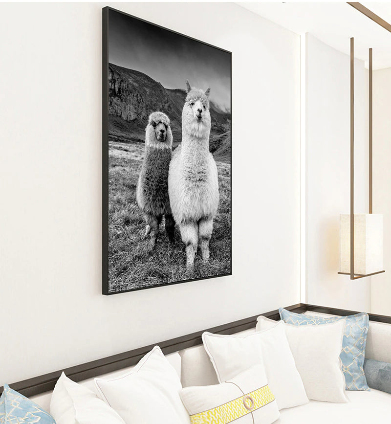 Cute Alpacas Black & White Animals Wall Art Fine Art Canvas Prints Pictures For Living Room Dining Room Kid's Bedroom Nursery Wall Art Decor