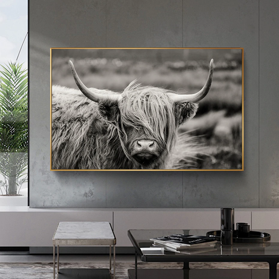Scottish Highland Cattle Black And White Animal Wall Art Fine Art Canvas Giclee Print Modern Pictures For Office Interior Living Room Dining Room Home Decor